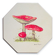 Fly Agaric Table Mat