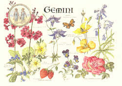 Gemini 22 May - 21 Jun