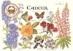 Cancer 22 Jun - 23 Jul