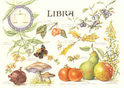 Libra 24 Sep - 23 Oct