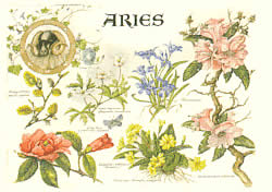 Aries 21 Mar - 20 Apr
