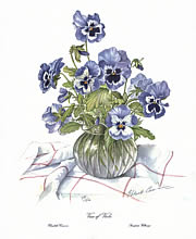 Vase of Viola