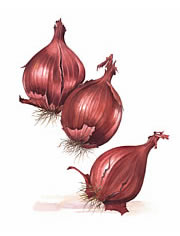 Red Onions