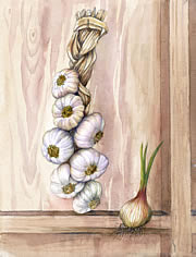 Dried Garlic