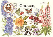 Cancer 22 Jun - 23 Jul