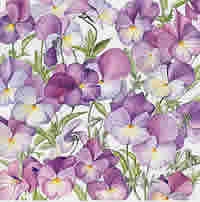 Viola Maggie Mott