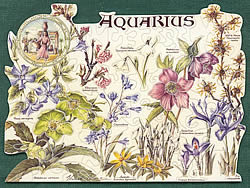 Aquarius