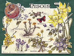 Pisces
