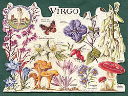 Virgo