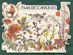 Sagittarius