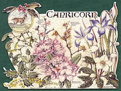 Capricorn
