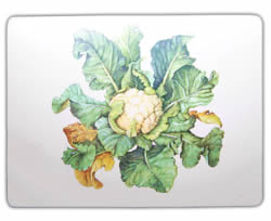 CAULIFLOWER