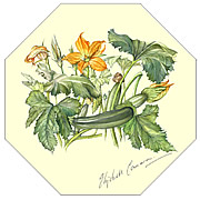 Courgette