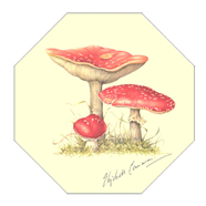 Fly Agaric Table Mat