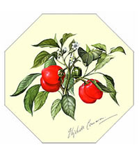 Tableware
